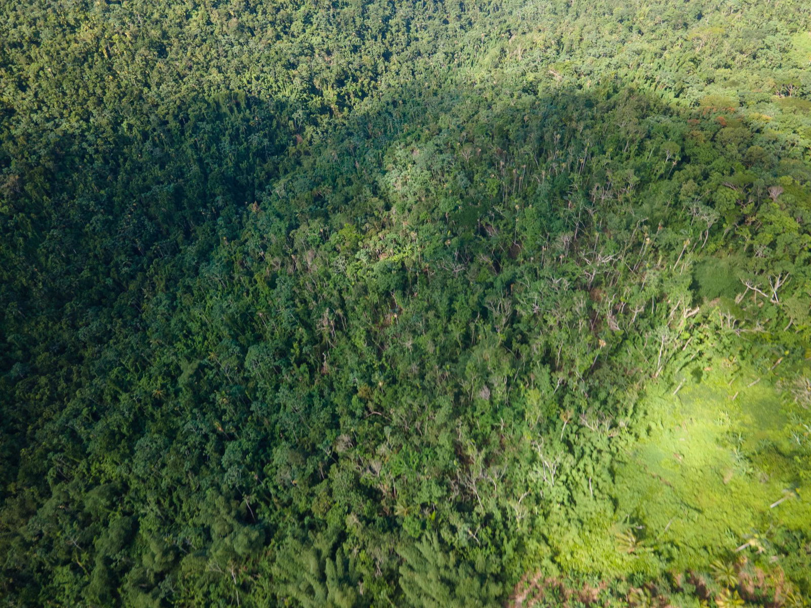 Fifth image of 124, 145 Pentonvale District in Windsor Castle, Portland, Jamaica - property is For Sale
