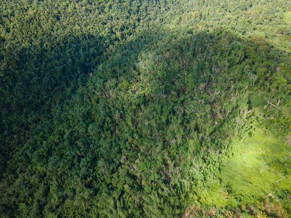 Fifth image of 124, 145 Pentonvale District in Windsor Castle, Portland, Jamaica - property is For Sale