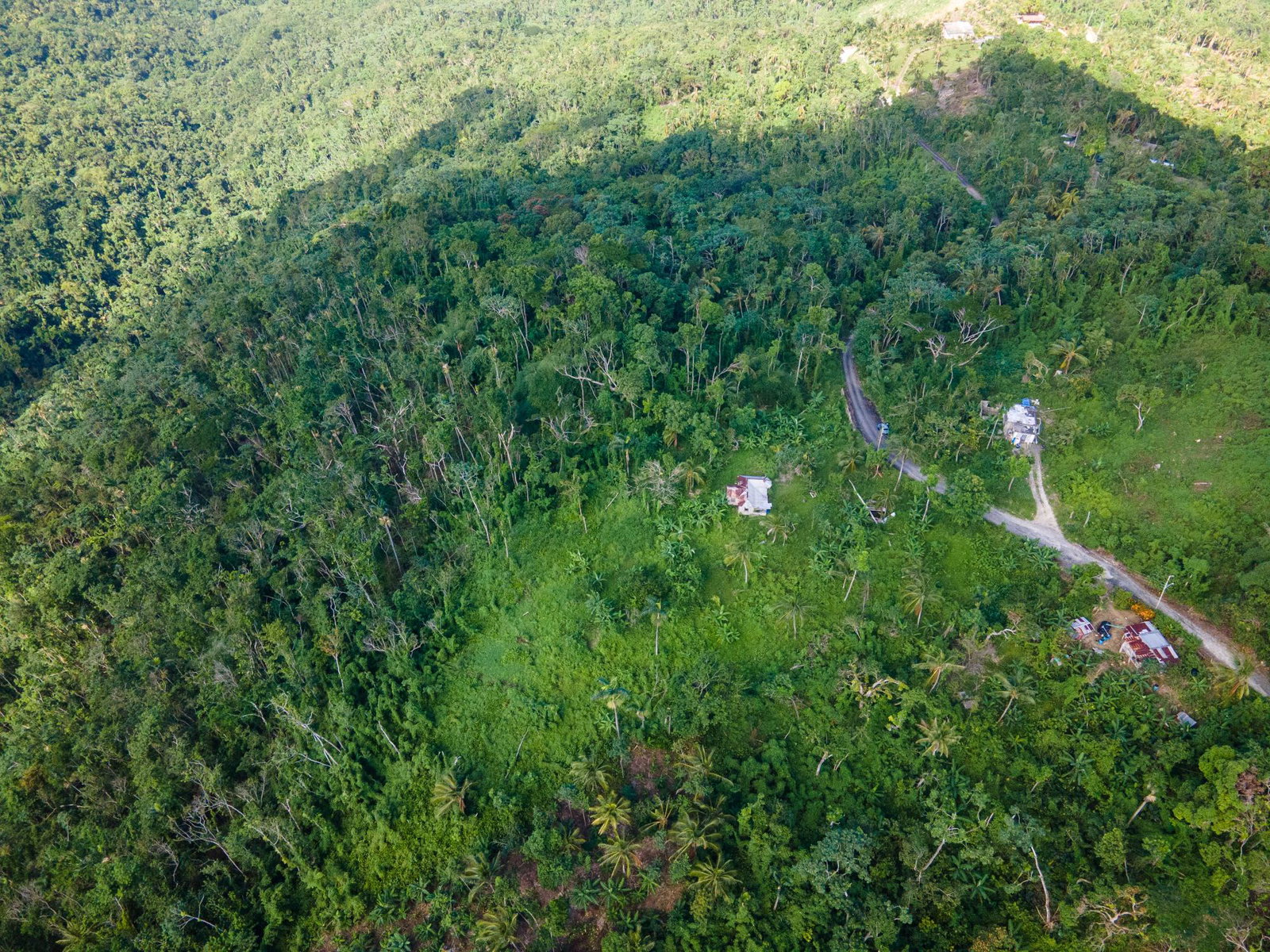 Sixth image of 124, 145 Pentonvale District in Windsor Castle, Portland, Jamaica - property is For Sale