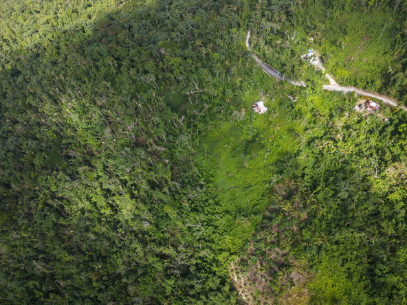 Seventh image of 124, 145 Pentonvale District in Windsor Castle, Portland, Jamaica - property is For Sale