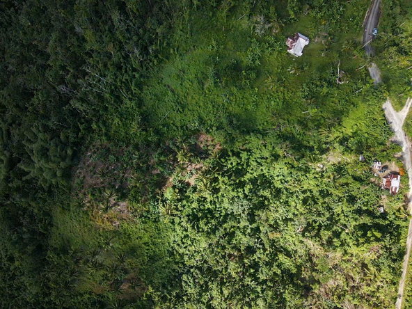 Ninth image of 124, 145 Pentonvale District in Windsor Castle, Portland, Jamaica - property is For Sale