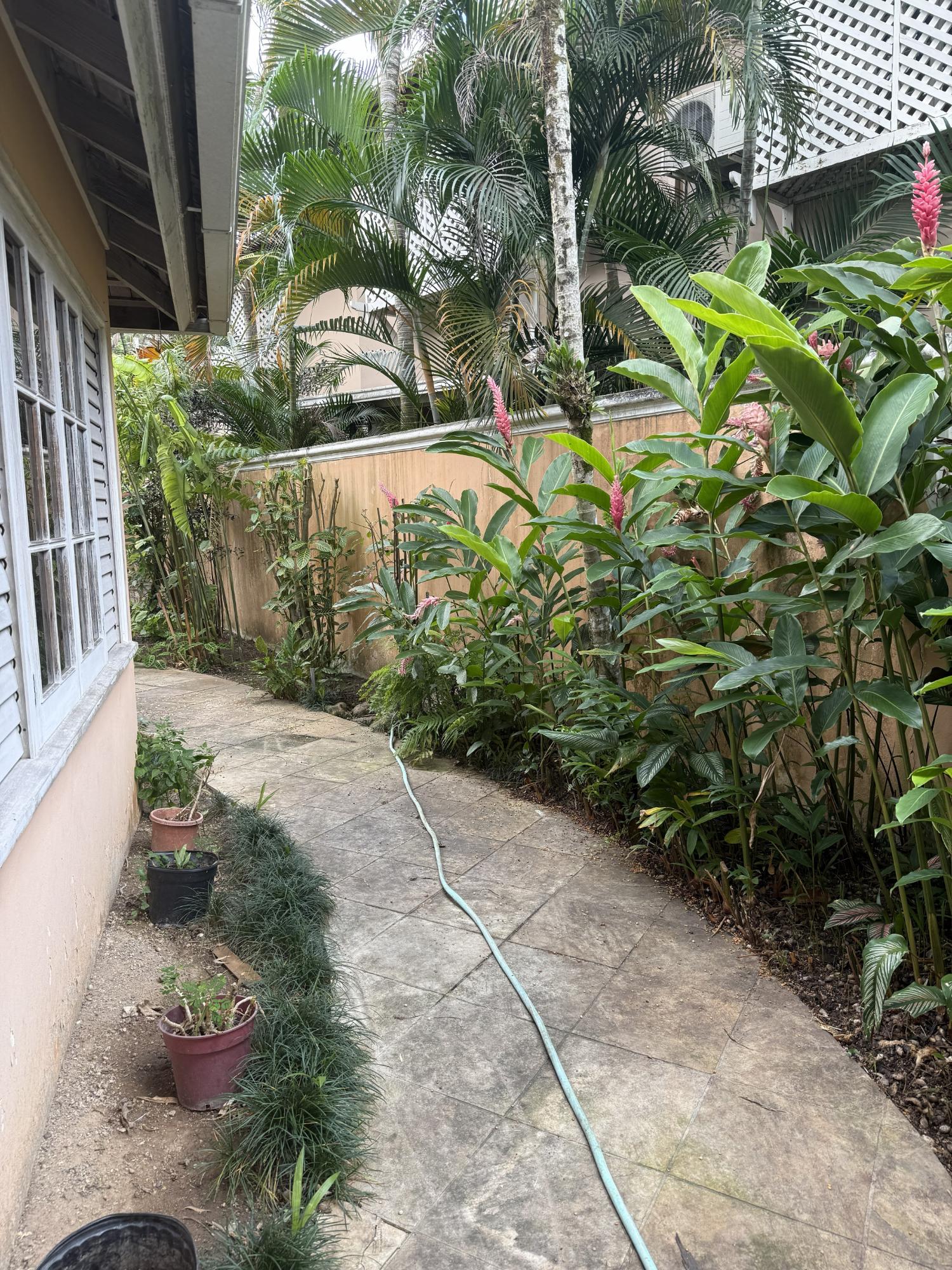Fifth image of 12 Norbury Drive in Kingston 8, St. Andrew, Jamaica - property is For Sale