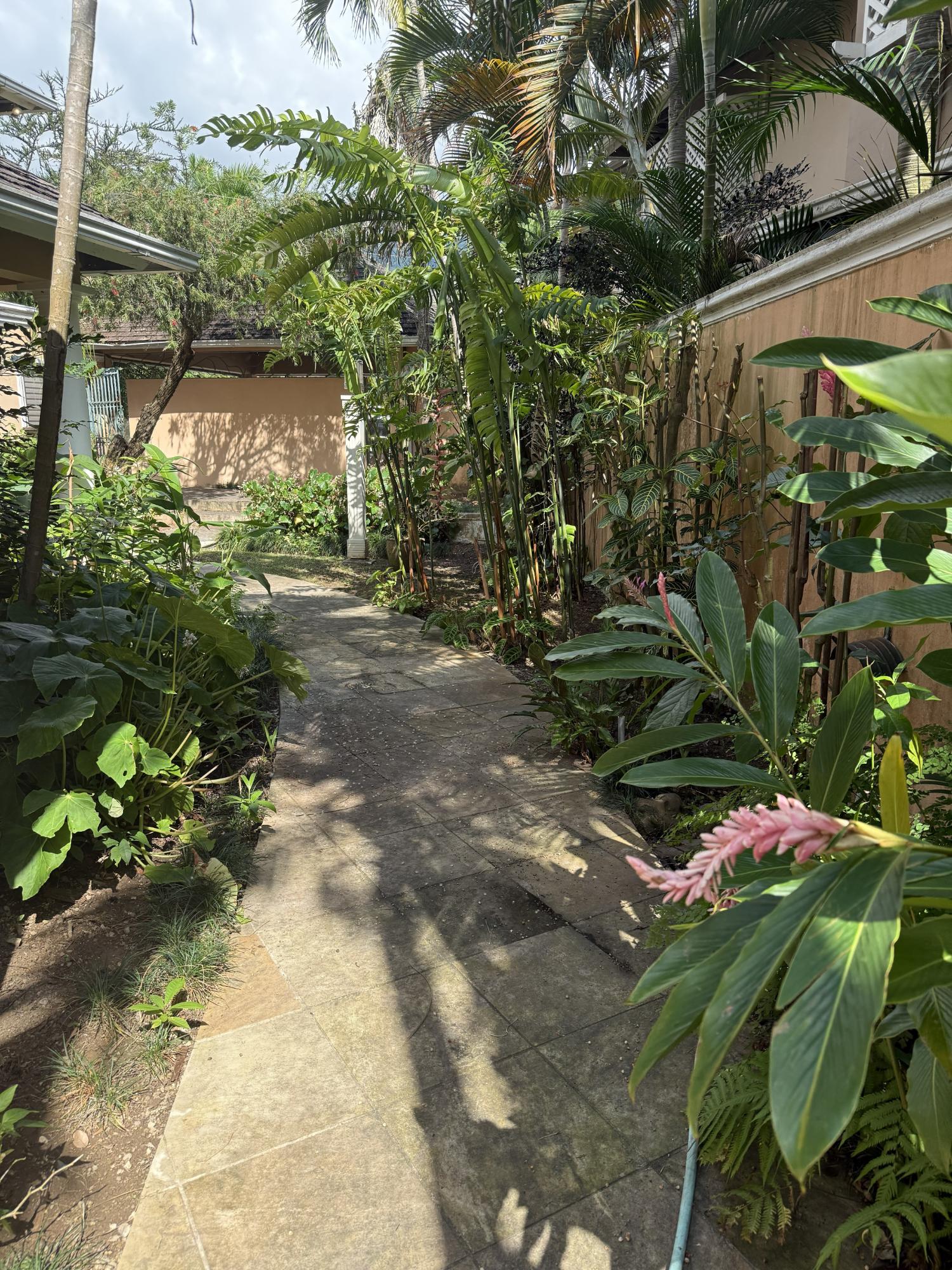 Seventh image of 12 Norbury Drive in Kingston 8, St. Andrew, Jamaica - property is For Sale