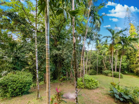 Nineteenth image of 105 San San Estate in SAN SAN, Portland, Jamaica - property is For Sale