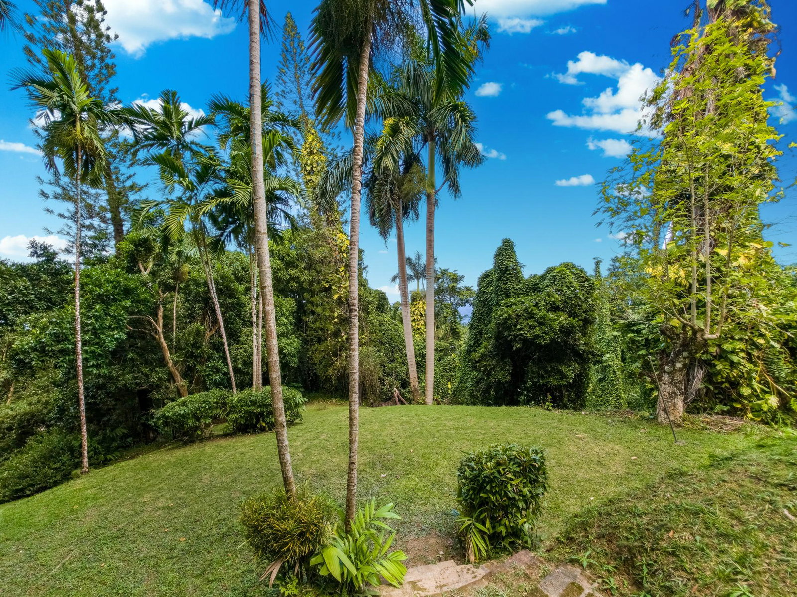 Twenty-First image of 105 San San Estate in SAN SAN, Portland, Jamaica - property is For Sale