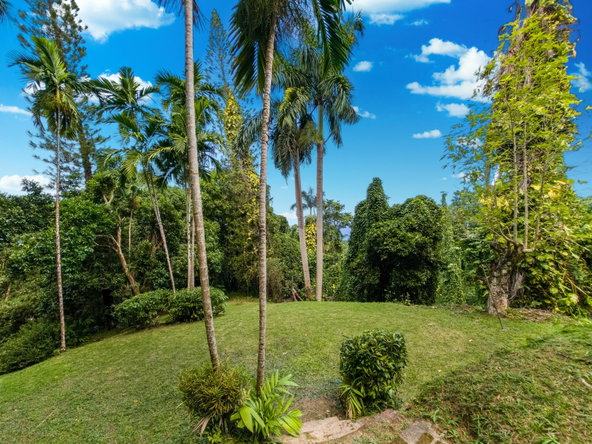 Twenty-First image of 105 San San Estate in SAN SAN, Portland, Jamaica - property is For Sale