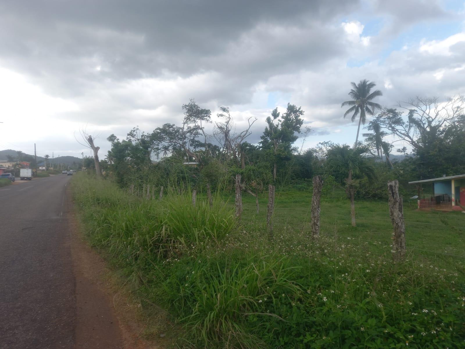 Eleventh image of Lot 1- Santa Cruz Park, St. Eliz in Black River, St. Elizabeth, Jamaica - property is For Sale