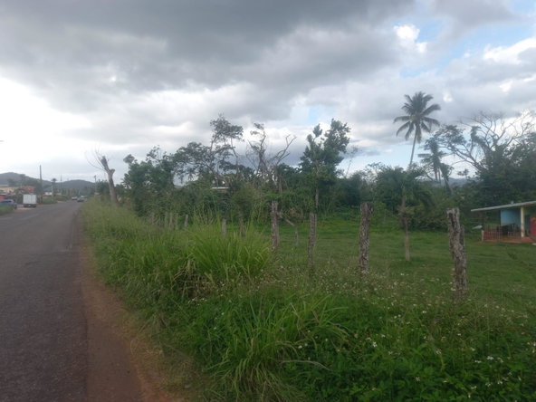 Eleventh image of Lot 1- Santa Cruz Park, St. Eliz in Black River, St. Elizabeth, Jamaica - property is For Sale
