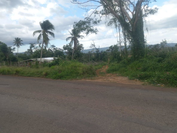 Fourteenth image of Lot 1- Santa Cruz Park, St. Eliz in Black River, St. Elizabeth, Jamaica - property is For Sale