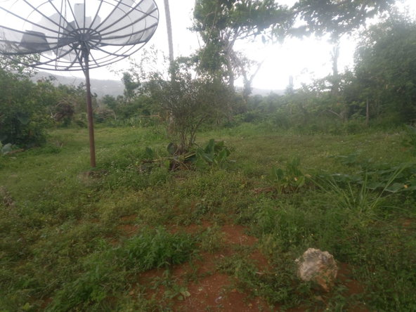 Fifteenth image of Lot 1- Santa Cruz Park, St. Eliz in Black River, St. Elizabeth, Jamaica - property is For Sale