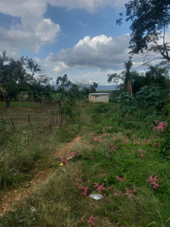 Seventeenth image of Lot 1- Santa Cruz Park, St. Eliz in Black River, St. Elizabeth, Jamaica - property is For Sale
