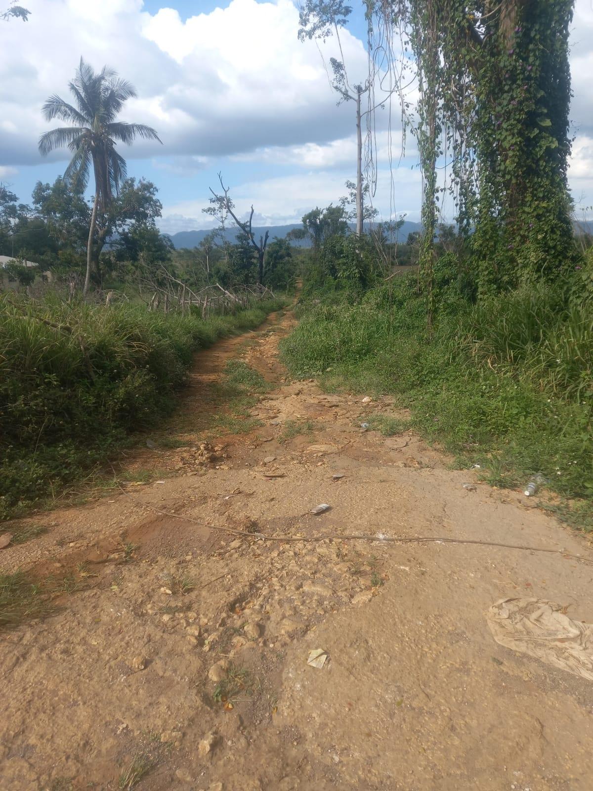 Eighteenth image of Lot 1- Santa Cruz Park, St. Eliz in Black River, St. Elizabeth, Jamaica - property is For Sale
