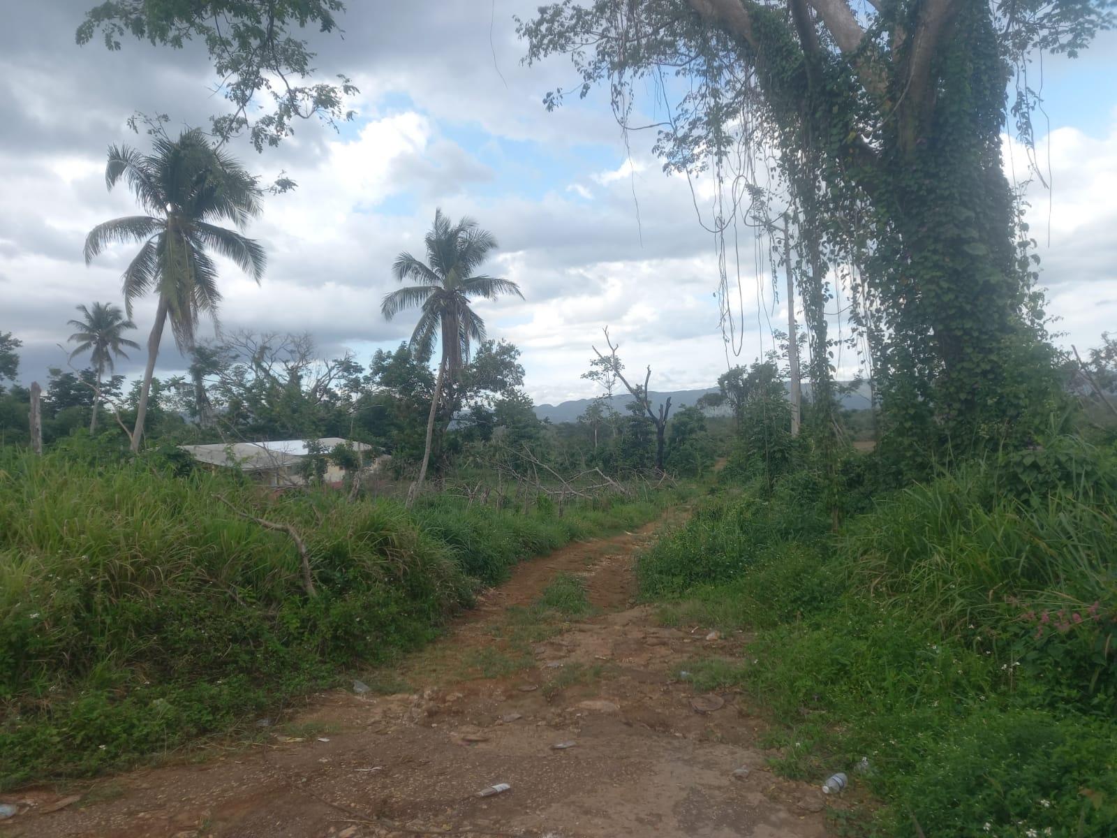 Nineteenth image of Lot 1- Santa Cruz Park, St. Eliz in Black River, St. Elizabeth, Jamaica - property is For Sale