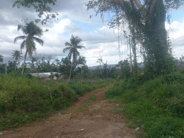 Nineteenth image of Lot 1- Santa Cruz Park, St. Eliz in Black River, St. Elizabeth, Jamaica - property is For Sale