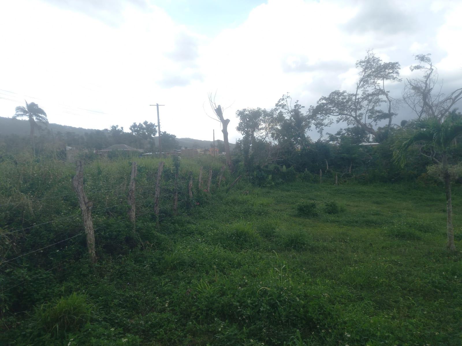 Second image of Lot 1- Santa Cruz Park, St. Eliz in Black River, St. Elizabeth, Jamaica - property is For Sale