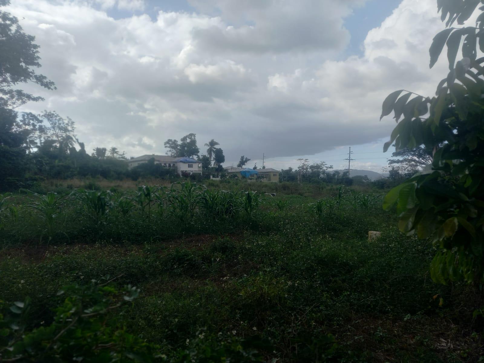 Twentieth image of Lot 1- Santa Cruz Park, St. Eliz in Black River, St. Elizabeth, Jamaica - property is For Sale