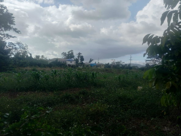 Twentieth image of Lot 1- Santa Cruz Park, St. Eliz in Black River, St. Elizabeth, Jamaica - property is For Sale