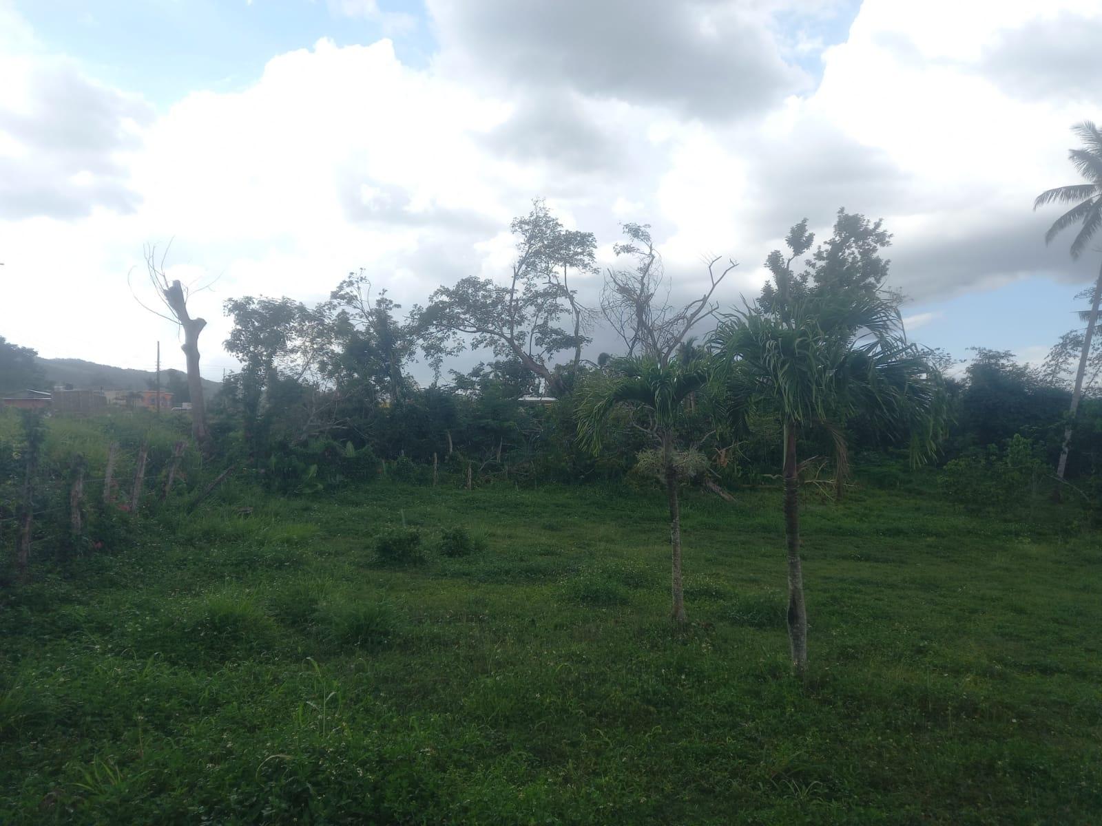 Twenty-Second image of Lot 1- Santa Cruz Park, St. Eliz in Black River, St. Elizabeth, Jamaica - property is For Sale