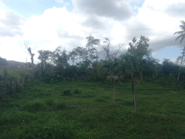 Twenty-Second image of Lot 1- Santa Cruz Park, St. Eliz in Black River, St. Elizabeth, Jamaica - property is For Sale