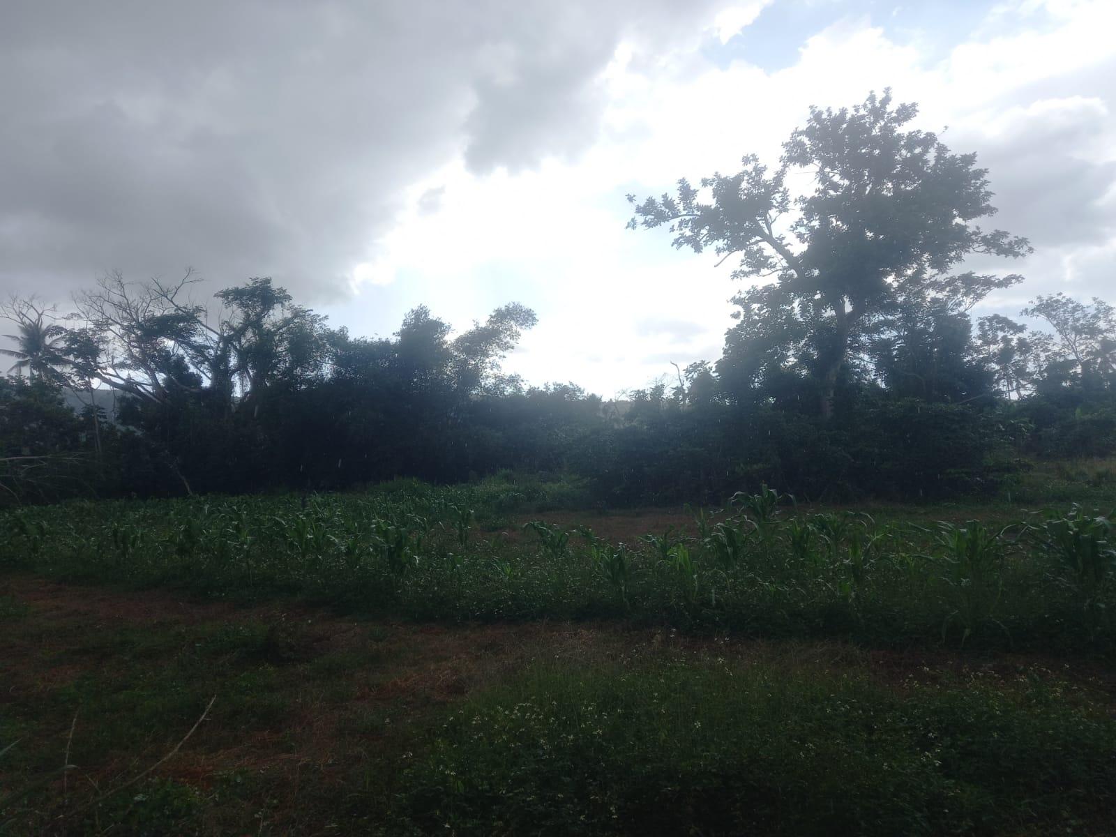 Twenty-Third image of Lot 1- Santa Cruz Park, St. Eliz in Black River, St. Elizabeth, Jamaica - property is For Sale