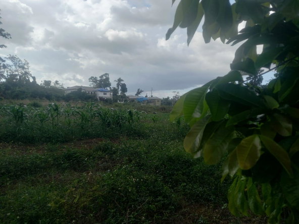 Twenty-Fourth image of Lot 1- Santa Cruz Park, St. Eliz in Black River, St. Elizabeth, Jamaica - property is For Sale