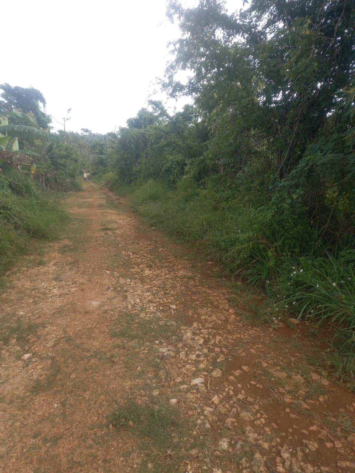 Twenty-Fifth image of Lot 1- Santa Cruz Park, St. Eliz in Black River, St. Elizabeth, Jamaica - property is For Sale