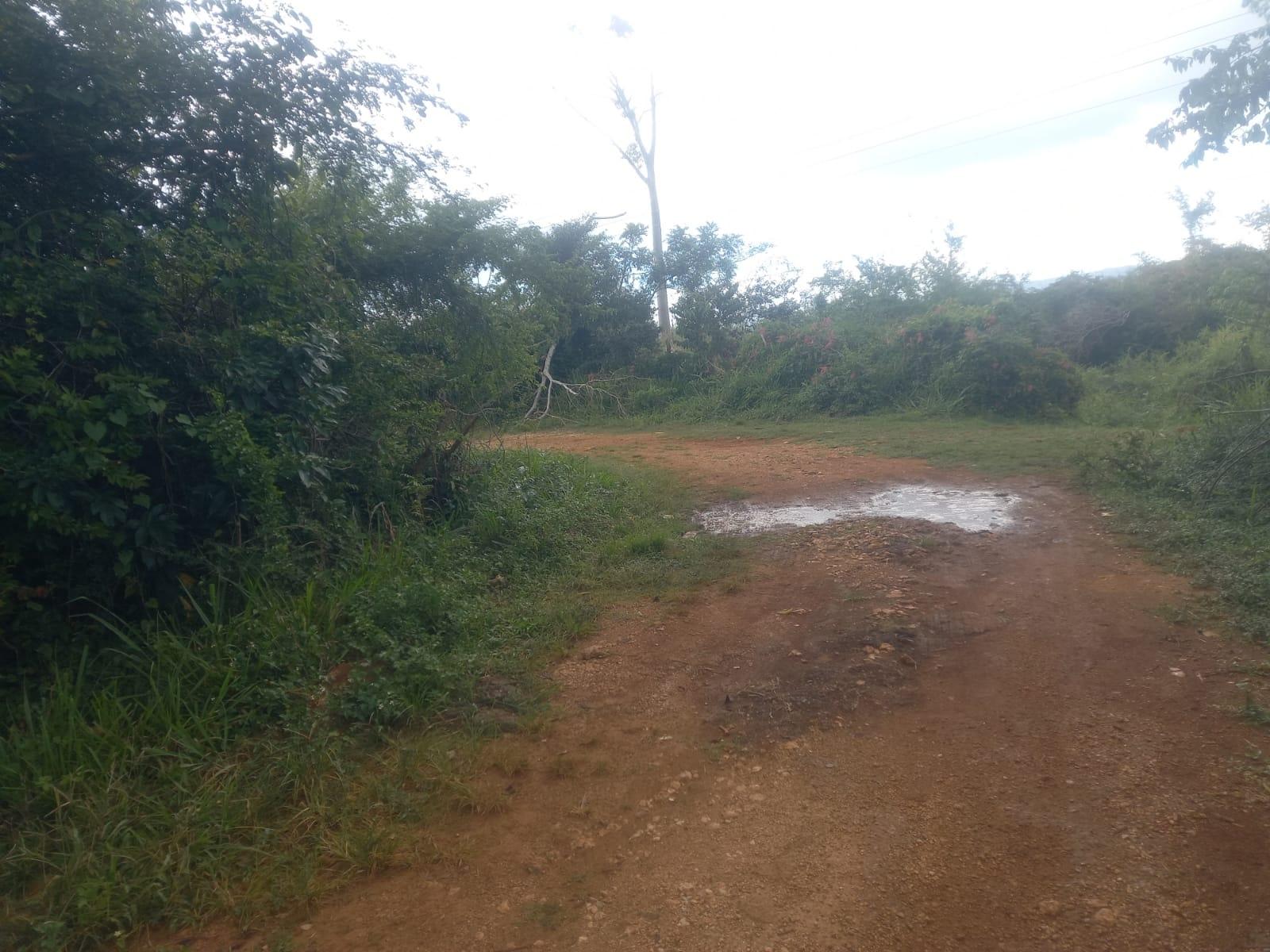 Twenty-Sixth image of Lot 1- Santa Cruz Park, St. Eliz in Black River, St. Elizabeth, Jamaica - property is For Sale