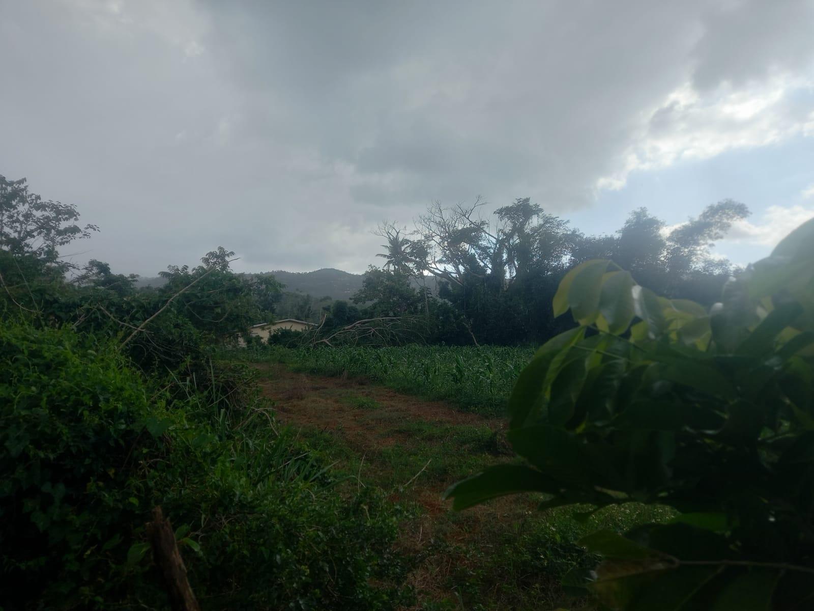 Third image of Lot 1- Santa Cruz Park, St. Eliz in Black River, St. Elizabeth, Jamaica - property is For Sale