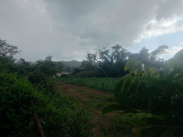 Third image of Lot 1- Santa Cruz Park, St. Eliz in Black River, St. Elizabeth, Jamaica - property is For Sale