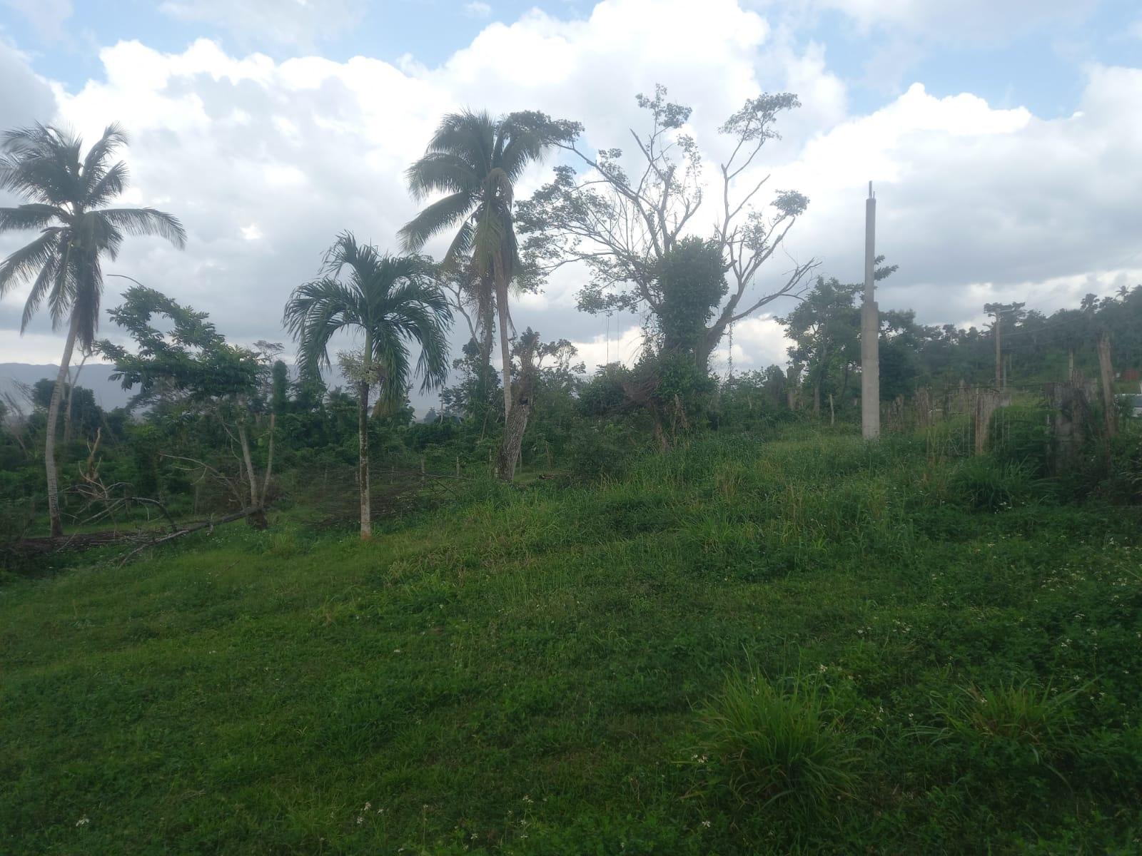 Fourth image of Lot 1- Santa Cruz Park, St. Eliz in Black River, St. Elizabeth, Jamaica - property is For Sale