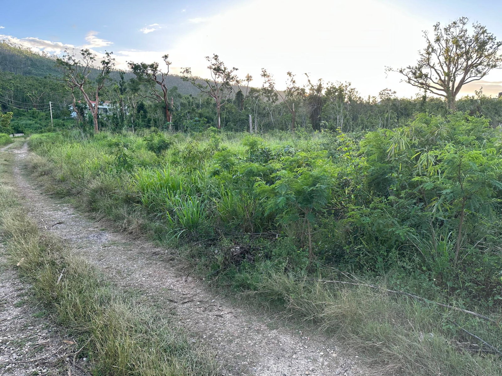 Twelfth image of Greenside in Falmouth, Trelawny, Jamaica - property is For Sale