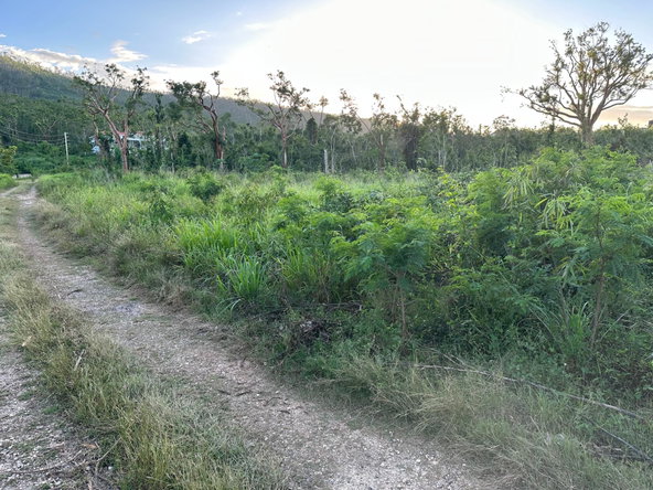 Twelfth image of Greenside in Falmouth, Trelawny, Jamaica - property is For Sale