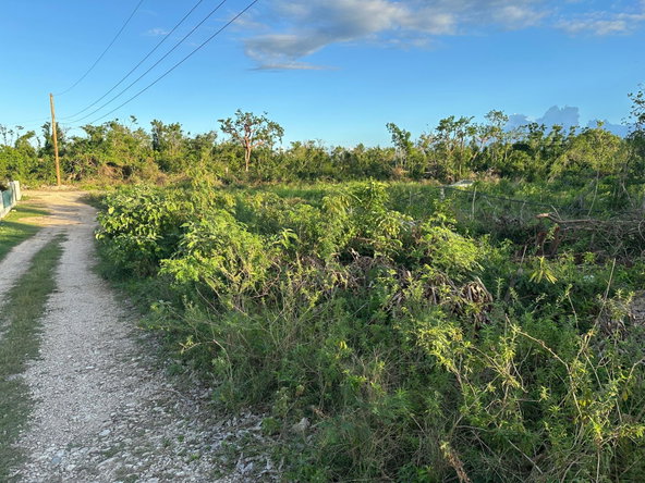 Sixth image of Greenside in Falmouth, Trelawny, Jamaica - property is For Sale