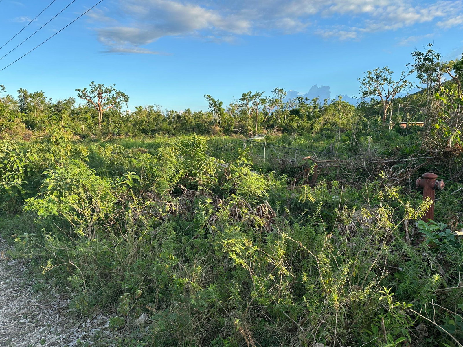 Seventh image of Greenside in Falmouth, Trelawny, Jamaica - property is For Sale