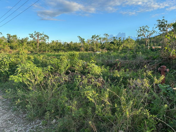 Seventh image of Greenside in Falmouth, Trelawny, Jamaica - property is For Sale