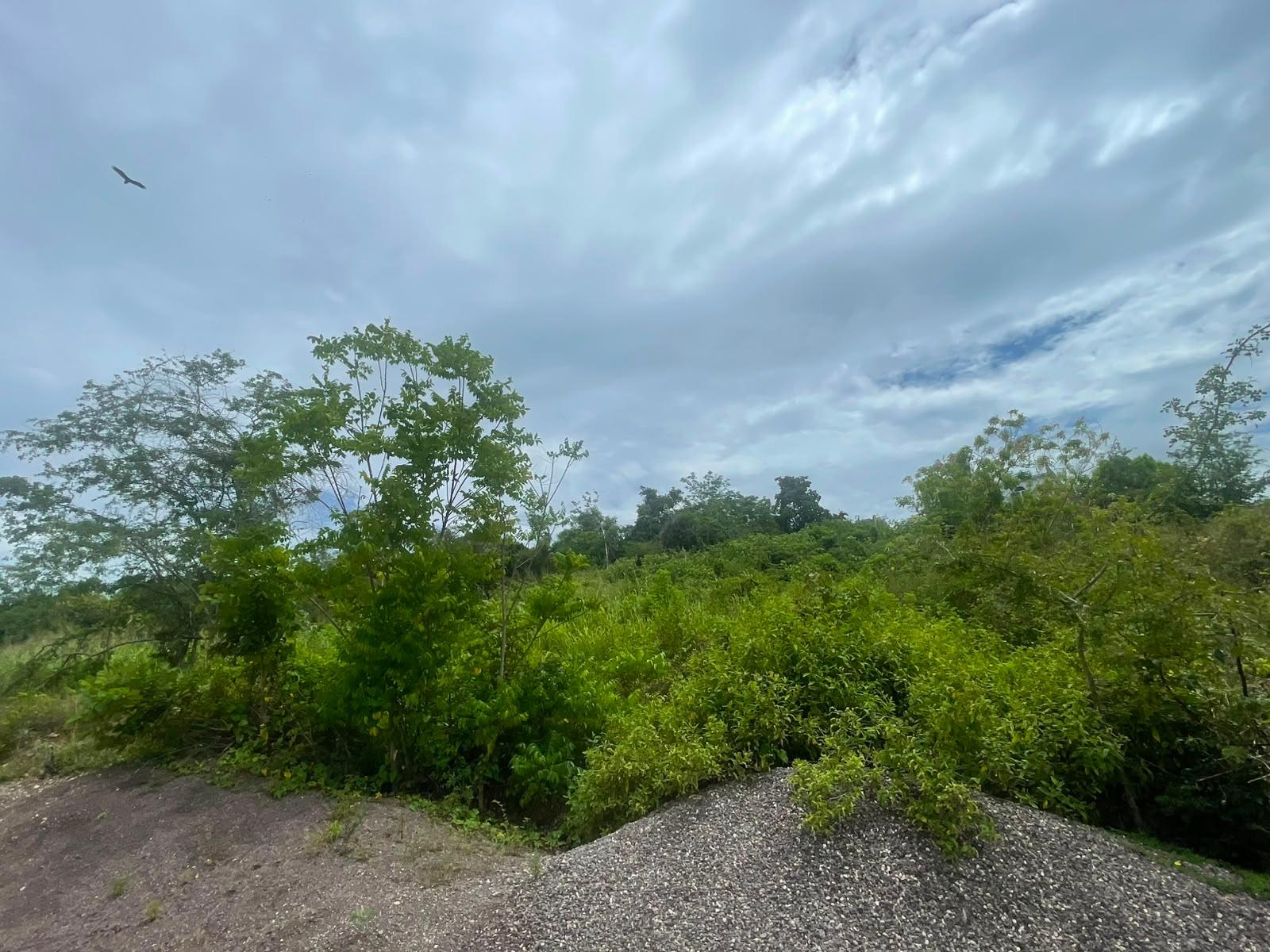 Ninth image of 66 Outlook Avenue,mount Daw in Mount Dawson, St. Catherine, Jamaica - property is For Sale