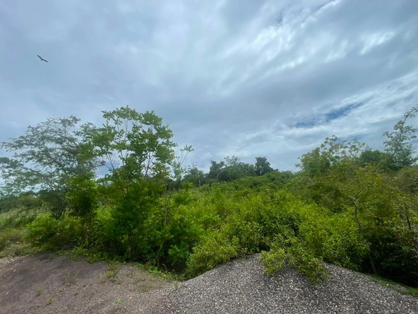 Ninth image of 66 Outlook Avenue,mount Daw in Mount Dawson, St. Catherine, Jamaica - property is For Sale