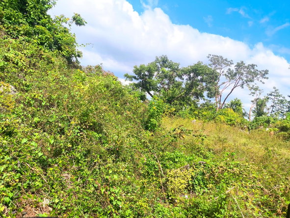 Third image of Black Top Road in Negril, Westmoreland, Jamaica - property is For Sale