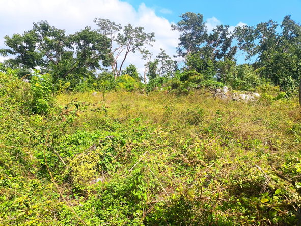 Fourth image of Black Top Road in Negril, Westmoreland, Jamaica - property is For Sale