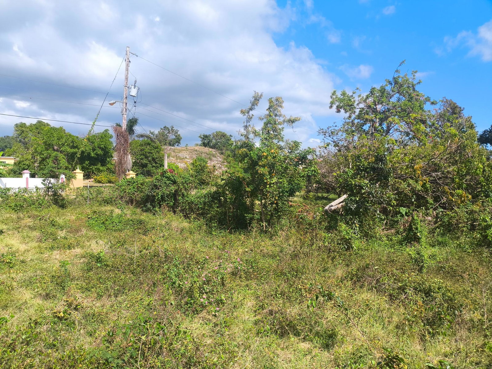 Fifth image of Black Top Road in Negril, Westmoreland, Jamaica - property is For Sale