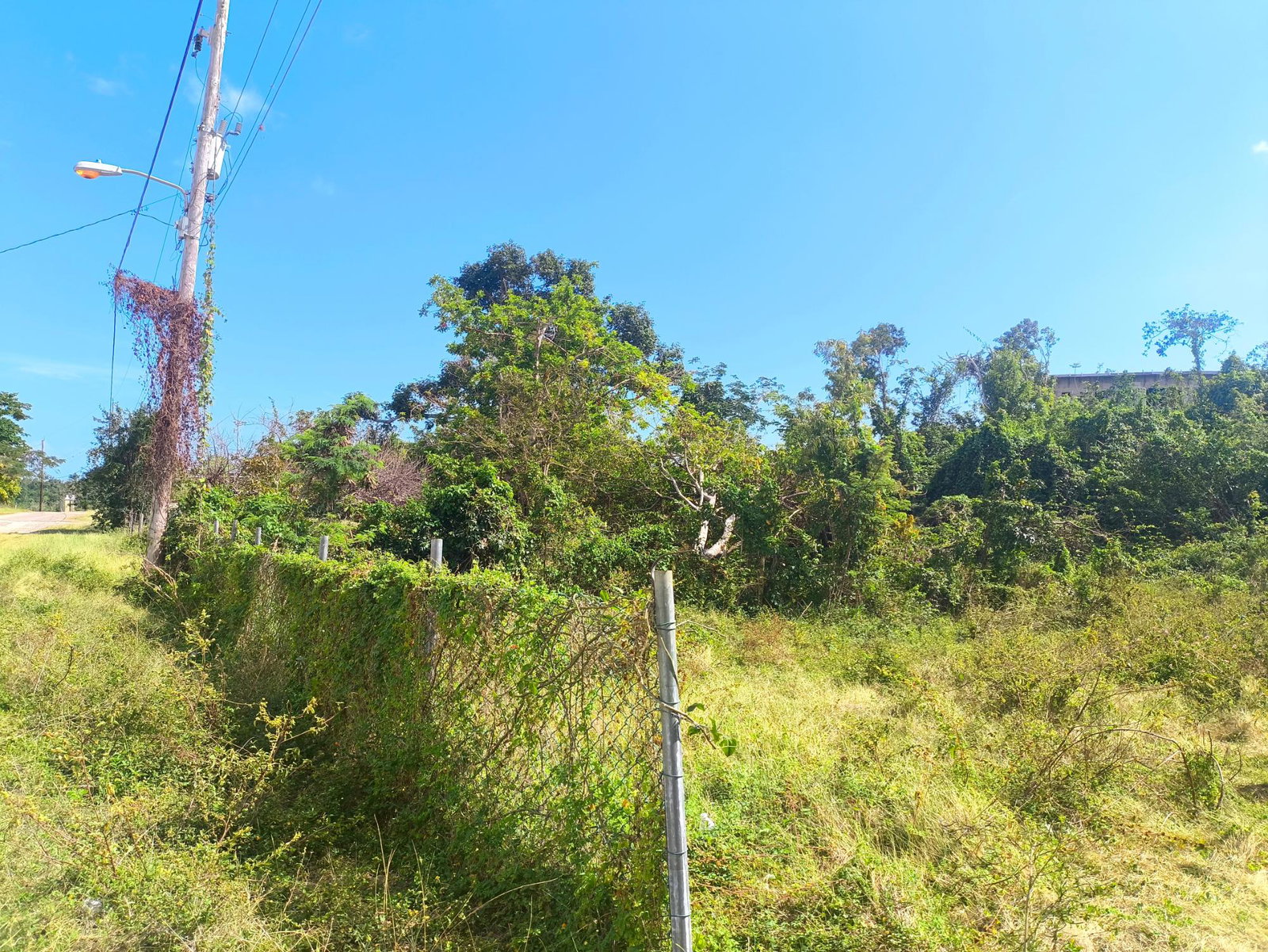 Sixth image of Black Top Road in Negril, Westmoreland, Jamaica - property is For Sale