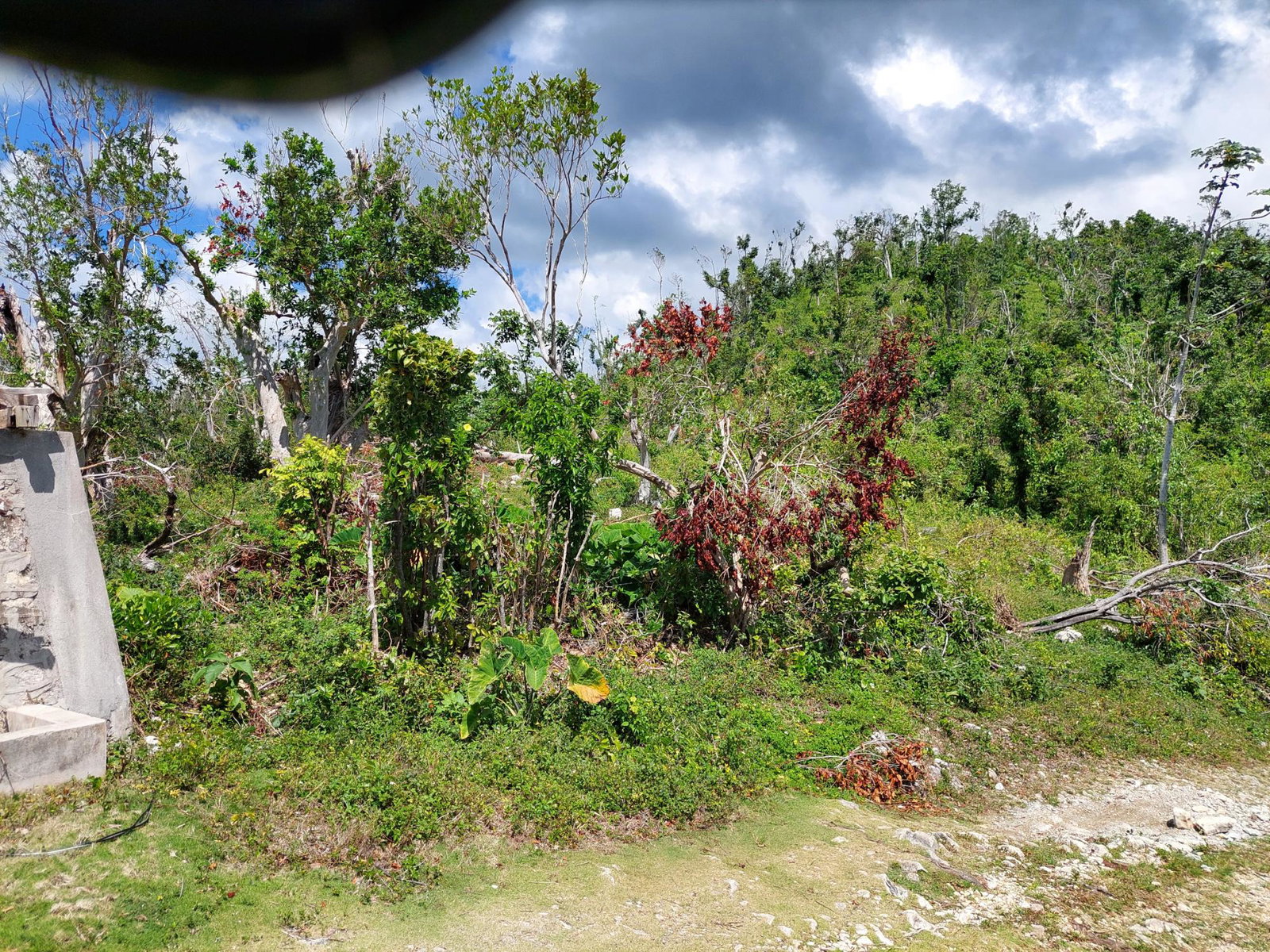 Sixteenth image of Seaview, Westmoreland in Cedar Valley, Westmoreland, Jamaica - property is For Sale