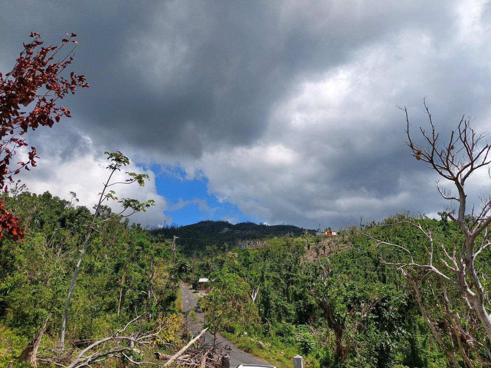 Seventeenth image of Seaview, Westmoreland in Cedar Valley, Westmoreland, Jamaica - property is For Sale