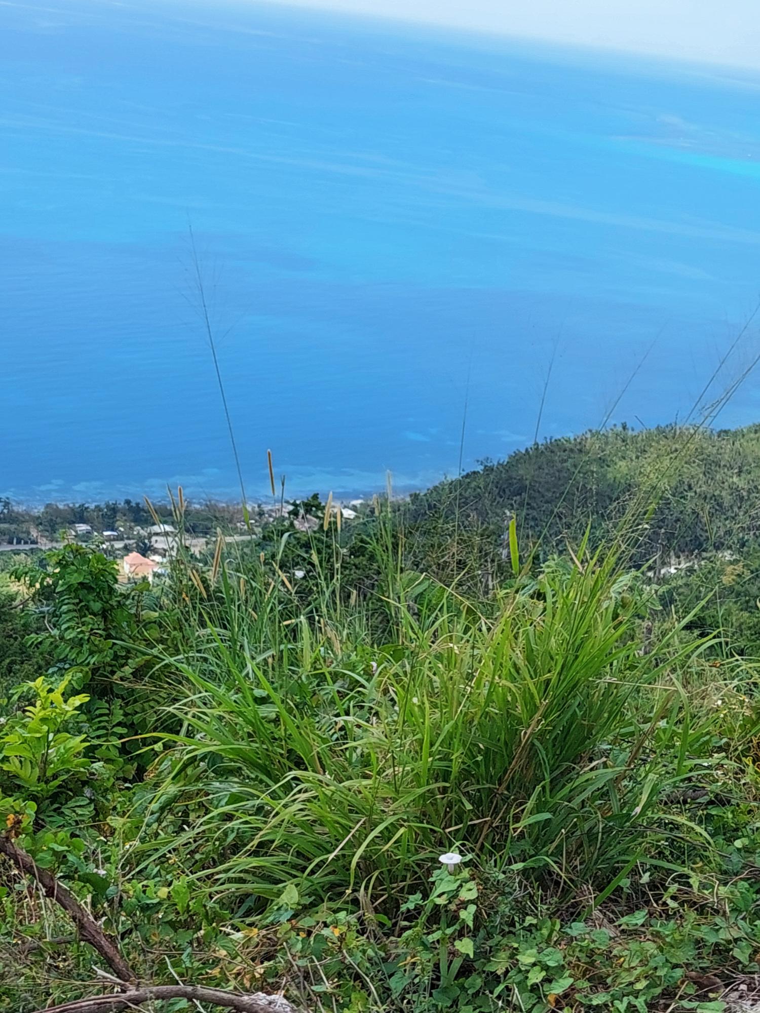 Eighteenth image of Seaview, Westmoreland in Cedar Valley, Westmoreland, Jamaica - property is For Sale