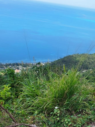Eighteenth image of Seaview, Westmoreland in Cedar Valley, Westmoreland, Jamaica - property is For Sale
