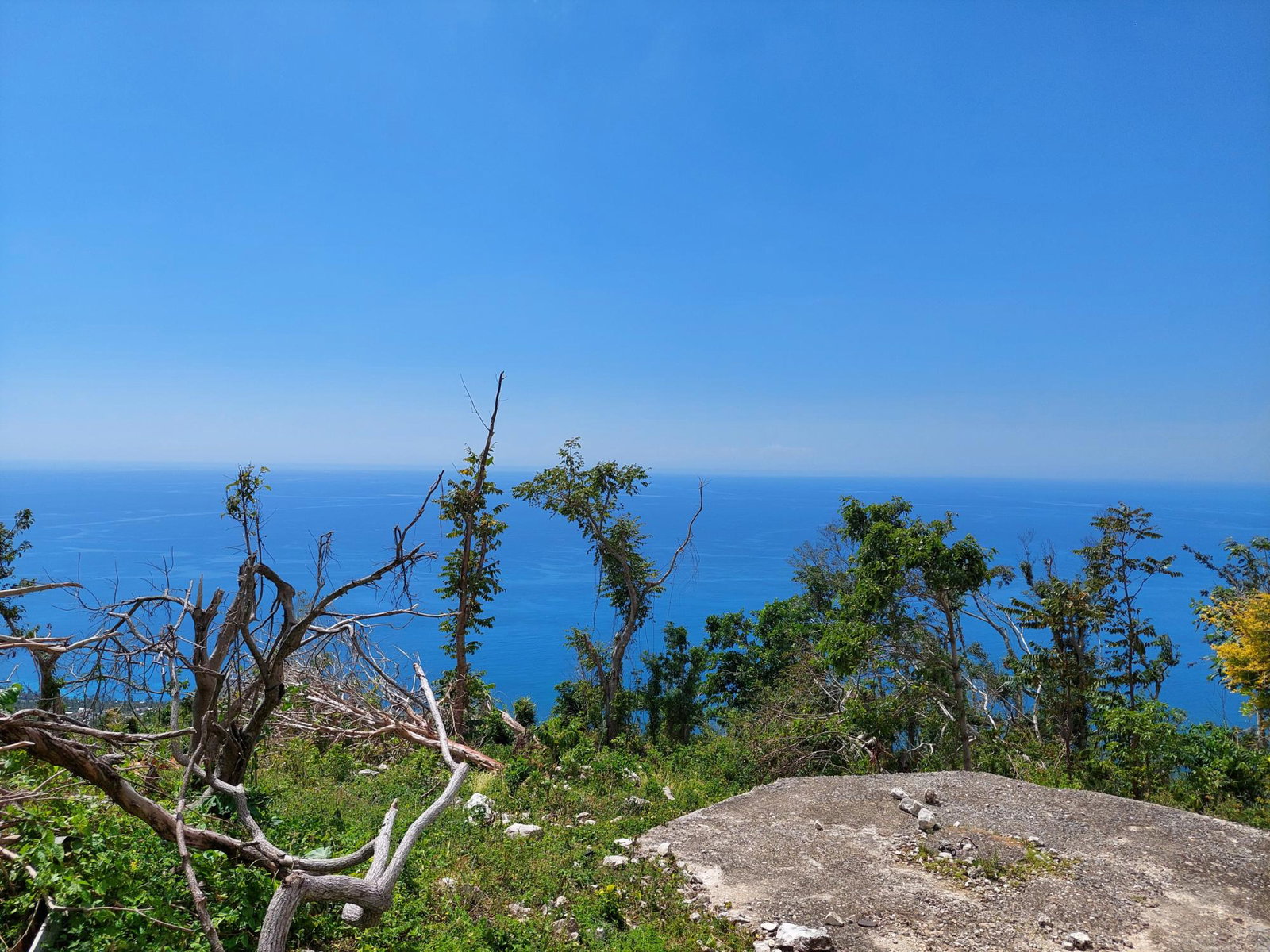 Fifth image of Seaview, Westmoreland in Cedar Valley, Westmoreland, Jamaica - property is For Sale