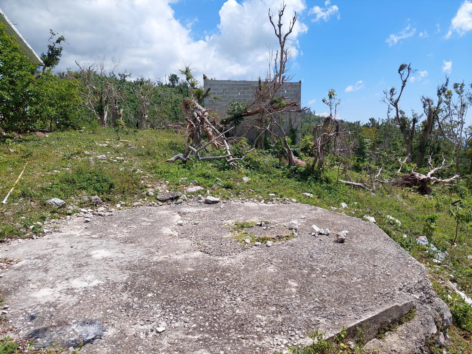 Sixth image of Seaview, Westmoreland in Cedar Valley, Westmoreland, Jamaica - property is For Sale