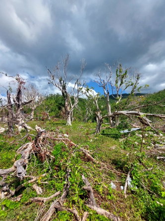Seventh image of Seaview, Westmoreland in Cedar Valley, Westmoreland, Jamaica - property is For Sale