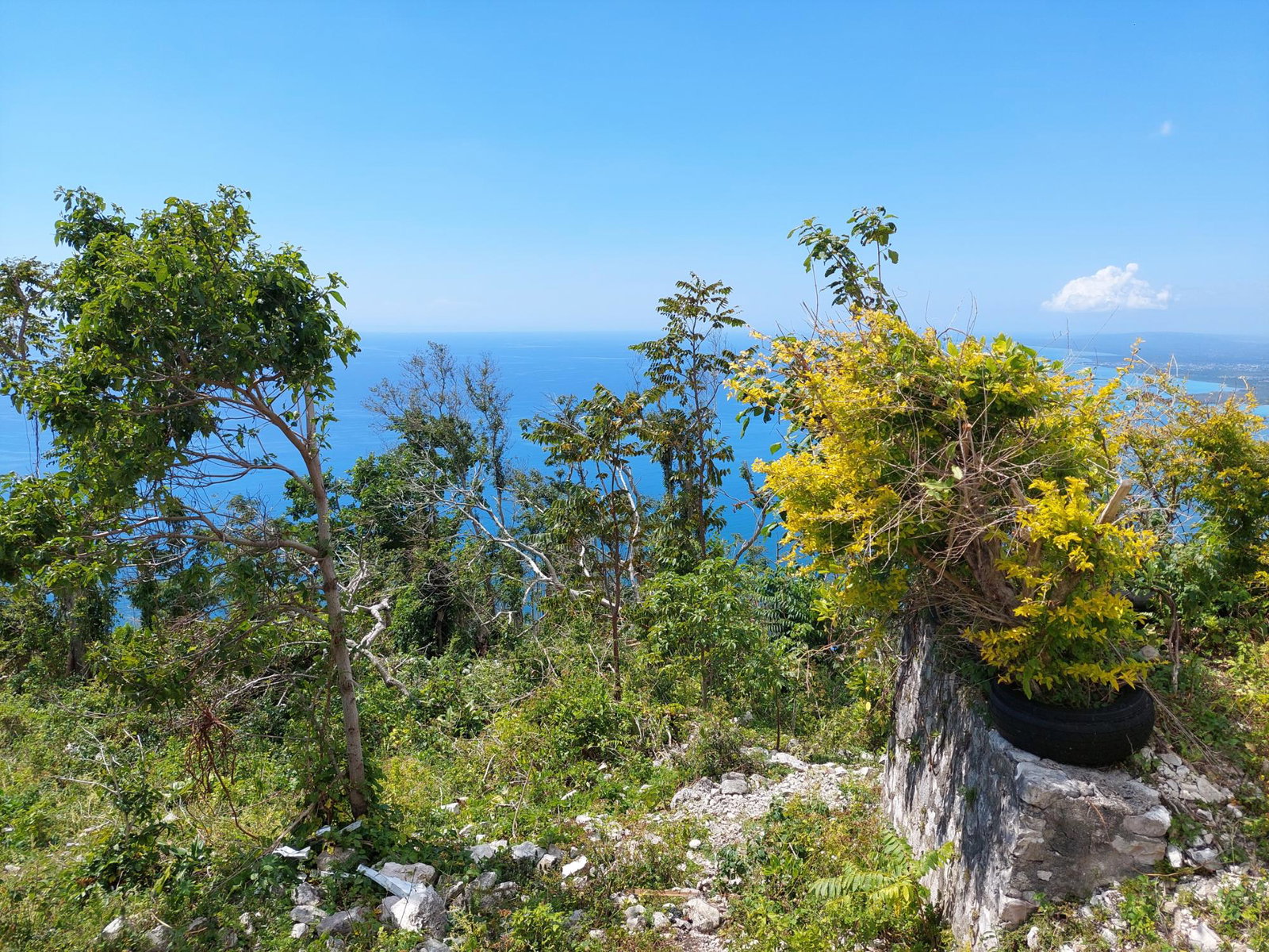 Fourteenth image of Cave Mountain, Cedar Vall in Cave Mountain, Westmoreland, Jamaica - property is For Sale