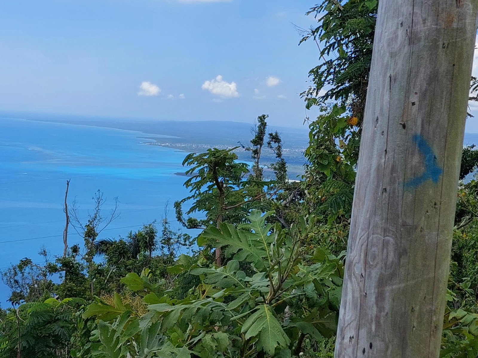 Fourth image of Cave Mountain, Cedar Vall in Cave Mountain, Westmoreland, Jamaica - property is For Sale